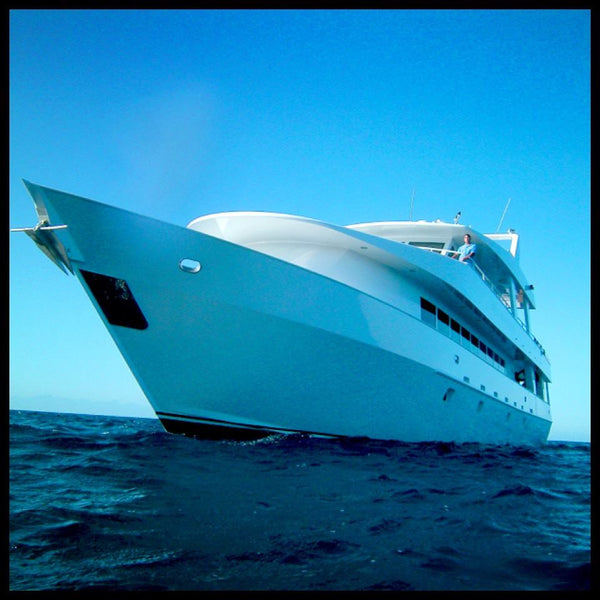 120 ft Roatan Yacht Charter- 4 Hrs Snorkel, Fish and Party