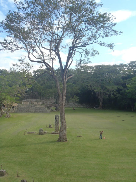 Roatan to Copan Ruins Honduras