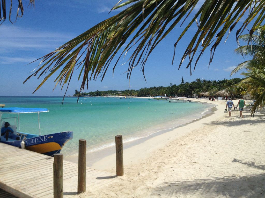 Amazing Tour Roatán Island Tour in Roatan - WEST BAY TOURS