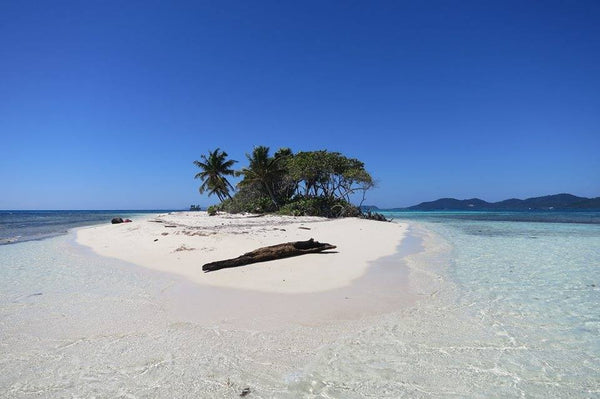 Pigeon Cay: 3 Snorkel Stops & BBQ Lunch