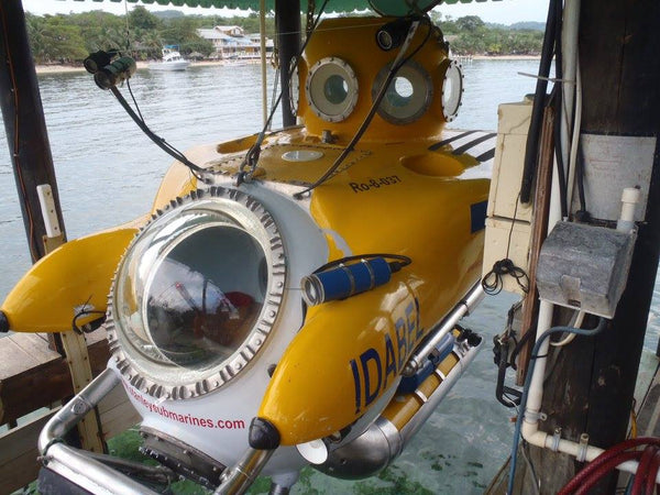 Roatan Sub Expedition- Go Down 2500 Ft