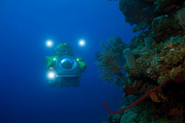 Roatan Sub Expedition- Go Down 2500 Ft