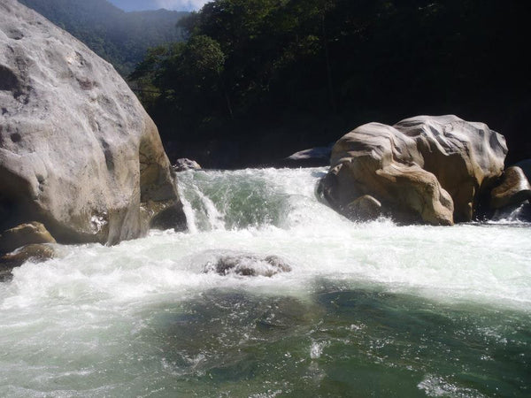 Rafting in Pico Bonito From Roatan