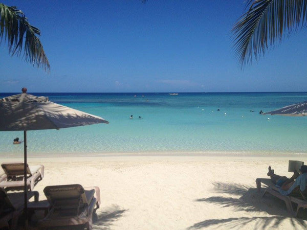 Roatan Island and Mangrove Tour