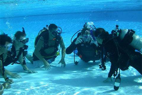 Roatan PADI Open Water Beginners Diving Course