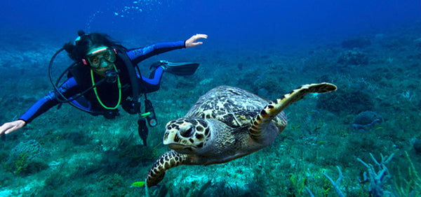 Roatan Advanced Open Water Course