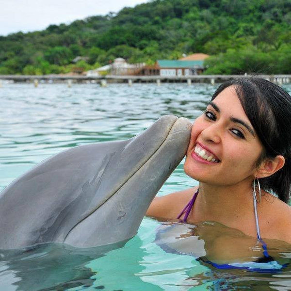 Roatan Dolphin Encounter