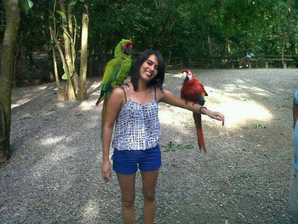 Roatan Monkey and Bird Park